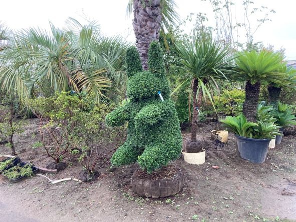 走る目的（4）図らずも