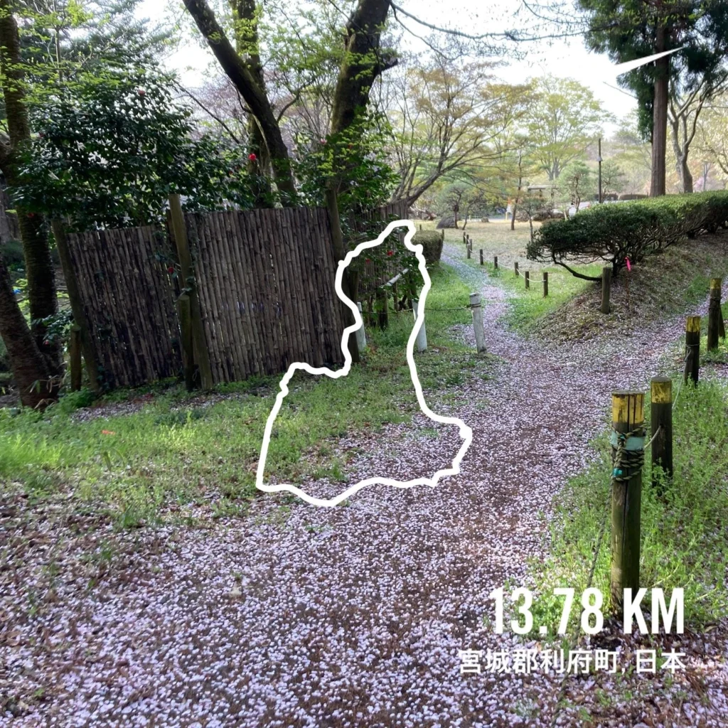 四季を感じて走ること・・・桜色の道