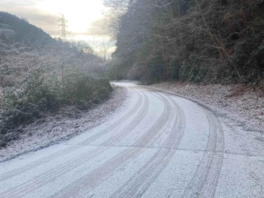厳寒の朝でも・・・