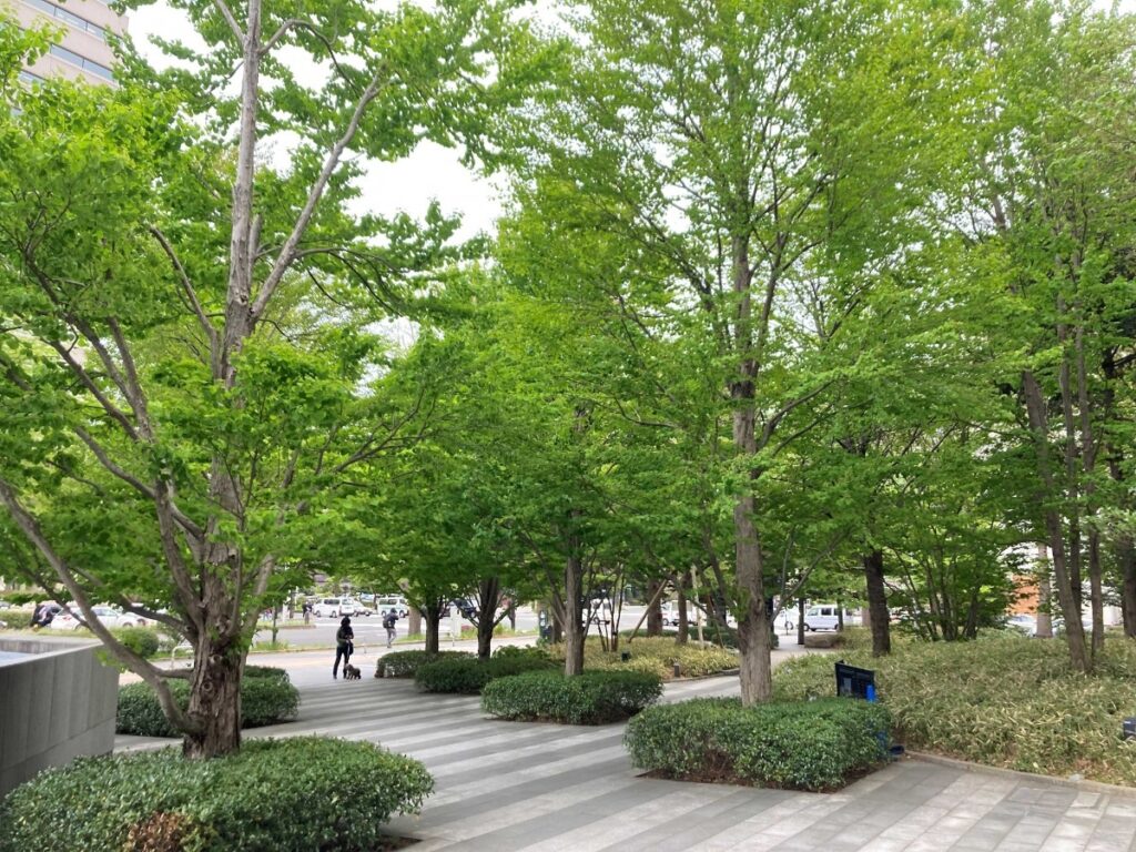 トラストタワーの植栽